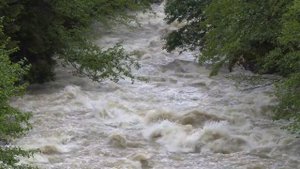 Руническая мантра "Стихия Воды" Слушайте мантру и очищайтесь от вирусных программ и негатива.