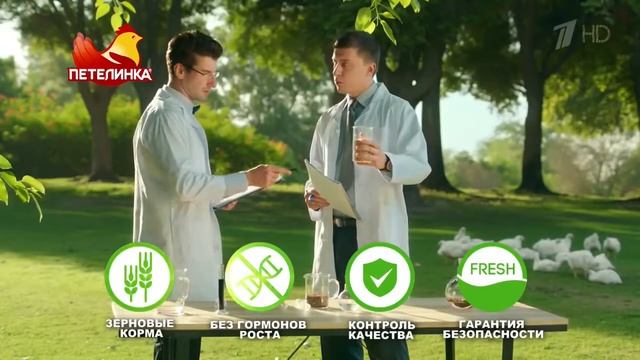 Петелинка. Натуральные курочки