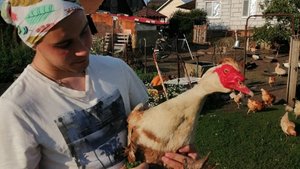 Содержание кур,без изысков.