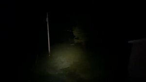 Olight Seeker 4 Pro - neutral white 4000 to 5000 K, in the real wilderness!￼