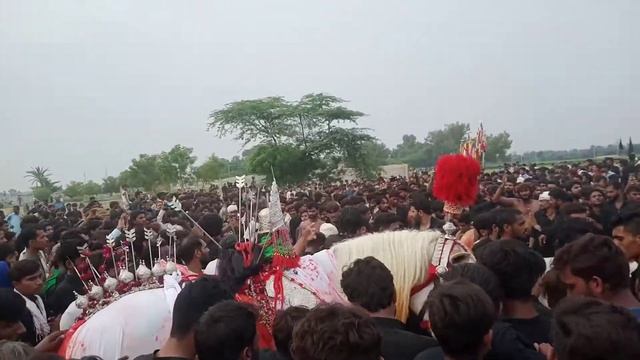 sahiwal 10 muharram Karbala 90/9L смотреть онлайн