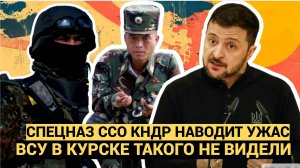 Корейский СПЕЦНАЗ ССО в Курске Наводит УЖАС на наемников ВСУ! Такого УЖАСА еще не видели!