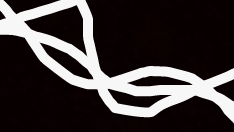 как нужно готовить пельмени