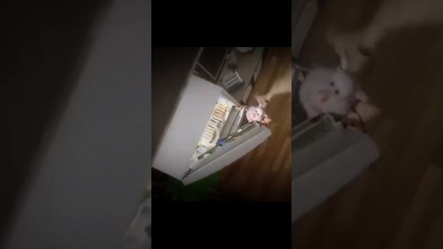 27 апреля 2024 г. смотреть онлайн