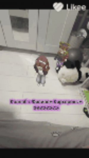 Ася первый раз идёт на гимнастику🤸♀️