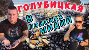 ГОЛУБИЦКАЯ сезон 2024 Ищем МИДИИ #голубицкая #азовскоеморе #отдых #отпуск #кучугуры