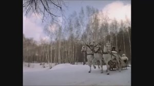 Диана Шахова - Три белых коня