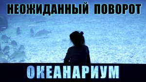 Океанариум. Владивосток