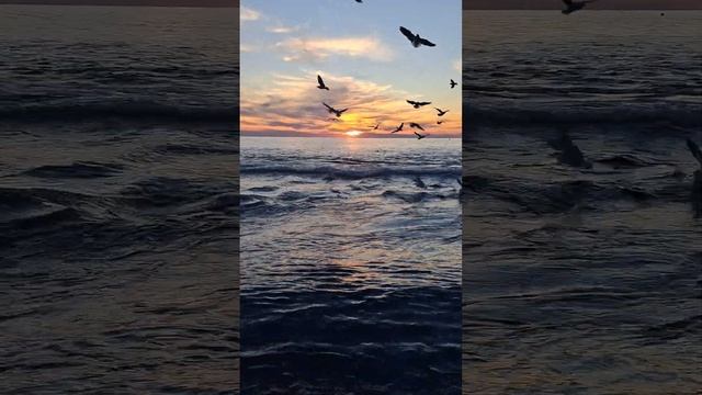 АДЛЕР. КРАСИВЫЙ ЗАКАТ. 7 ДЕКАБРЯ. УСТЬЕ МЗЫМТЫ. #пляжчайка #море смотреть онлайн