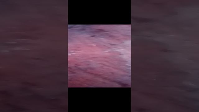 Ищем всякую нечисть (почти нашли!!)