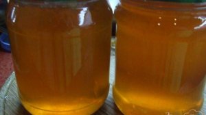 Яблочный мёд