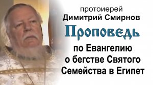 Проповедь по Евангелию о бегстве Святого Семейства в Египет (2011.01.09). Прот. Димитрий Смирнов