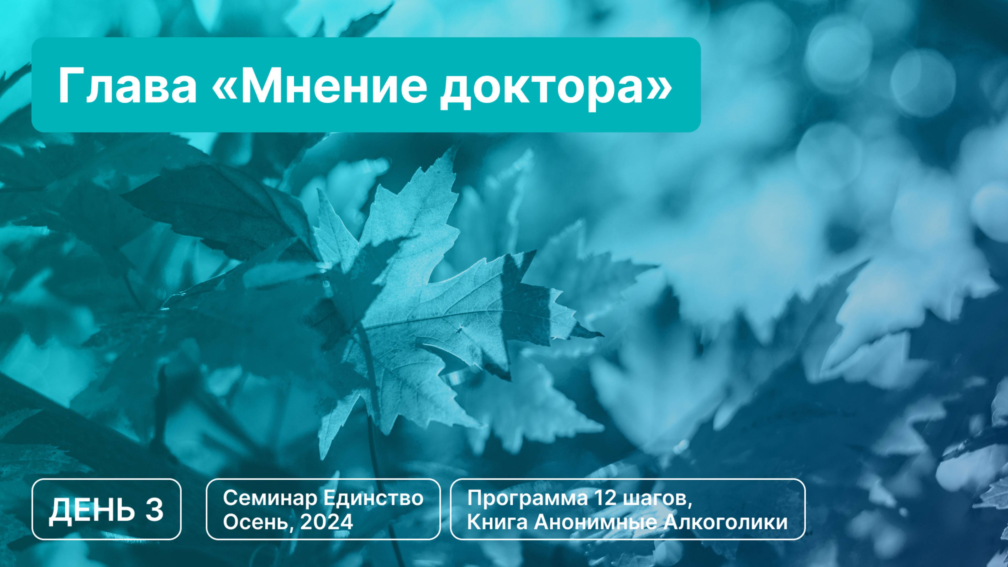 День 3 -  Глава «Мнение доктора»