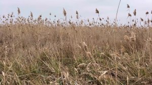 Коротко о новогодних выходных…