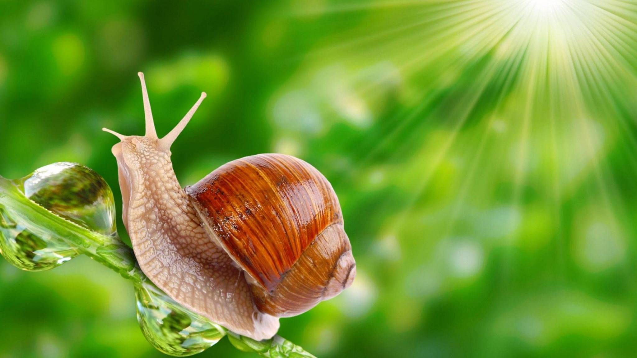 Книжка для самых маленьких - СРАВНЕНИЯ