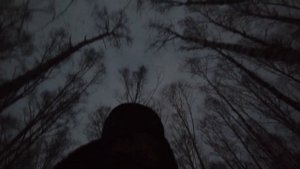 0Замечательная движуха по Бархатово и его лесу под вечер