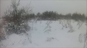 Охота с пневматикой  в снег день второй.Хатсан 125 тн.