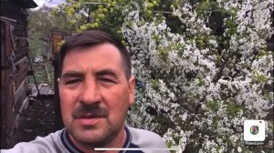 Секрет Стопроцентной приживаемости прививки черенков.