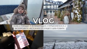 VLOG // ПОЕЗДКА В ЗЕЛЕНОГРАДСК // КУРШСКАЯ КОСА // ЭКСКУРСИЯ ПО РЕСТОРАНУ ОТ ЛУЧШЕГО ШЕФ-ПОВАРА