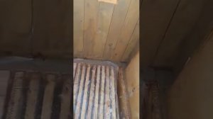 Углекислая зимовка пчёл  (часть 3)