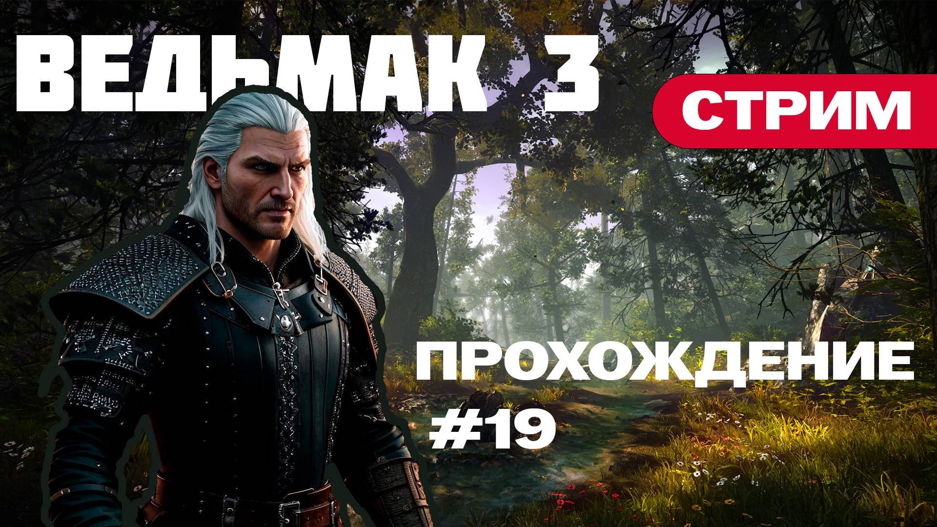 Прохождение Ведьмак 3. Продолжаем двигаться по сюжету | Часть №19
