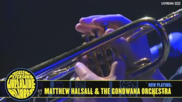 Matthew Halsall The Gondwana Orchestra Worldwide Awards 2016