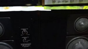 Harman Kardon HK 6900+Электроника 100АС