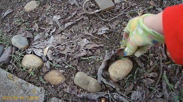 Первые посадки / Шашлыки на новом участке / Обзор домика в деревне / Дачный влог