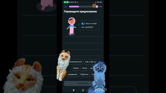 УЧИМ АНГЛИЙСКИЙ ЯЗЫК С КОТОМ//КВ//НАЧИНАЮЩИЙ УРОВЕНЬ//РАЗВИВАЕМ РЕЧЬ//АЛТАЙСКИЙ КРАЙ//