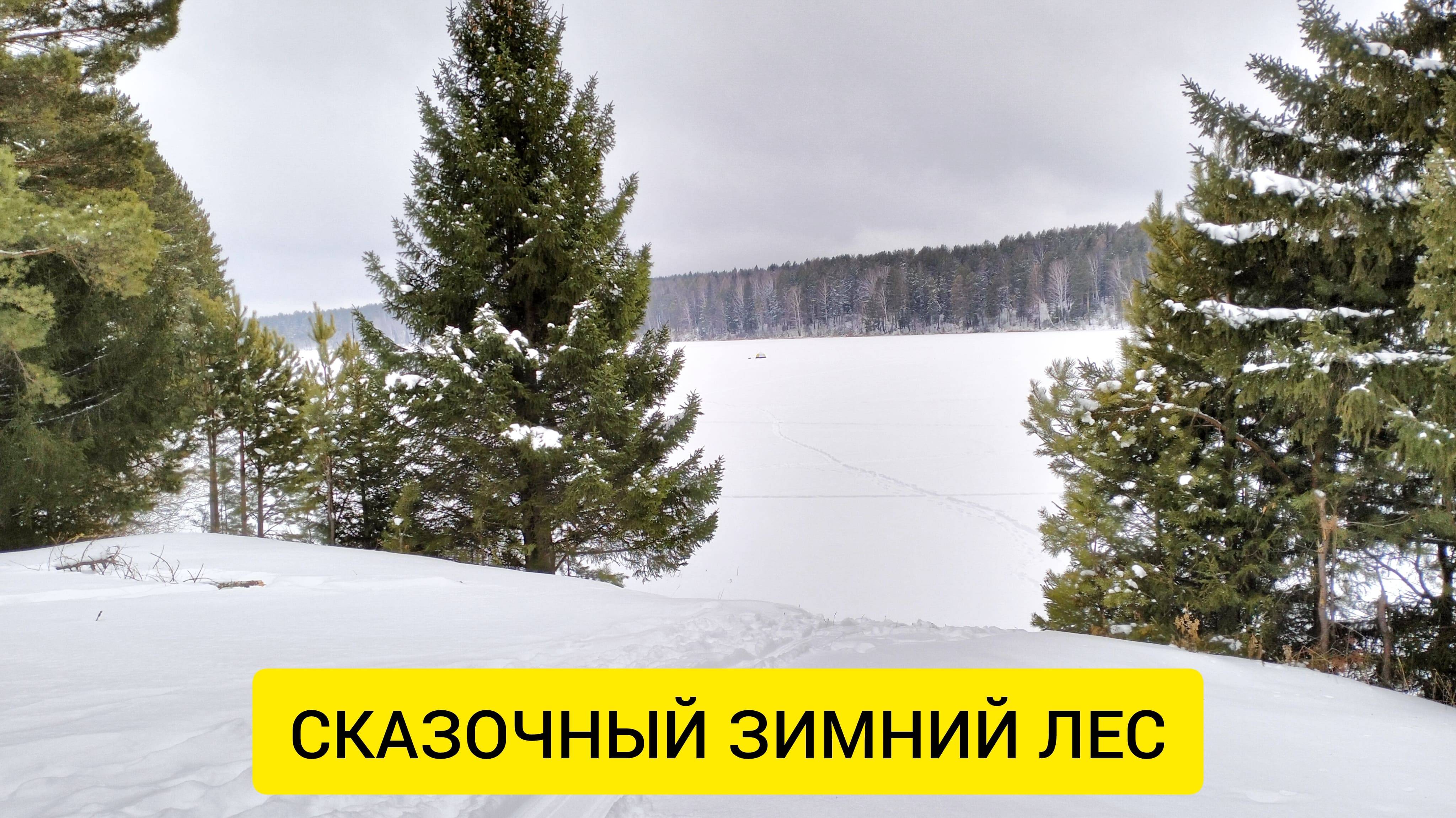 ВЫБРАЛИСЬ В ДЕРЕВНЮ / ПРОГУЛКА ПО ЗИМНЕМУ ЛЕСУ / Деревенька на Урале / Выпуск 45
