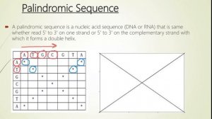 How to read Dot Plot Matrix