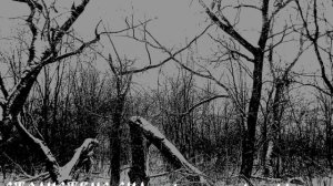 странствие сна : сквозь сказку