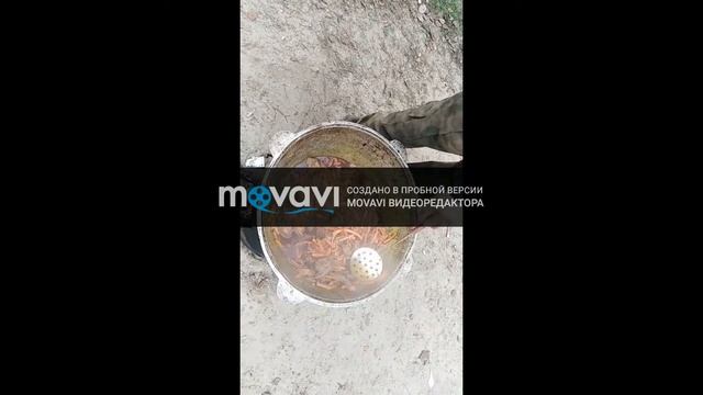 Плов по Сибирски (ХМАО-Югра)