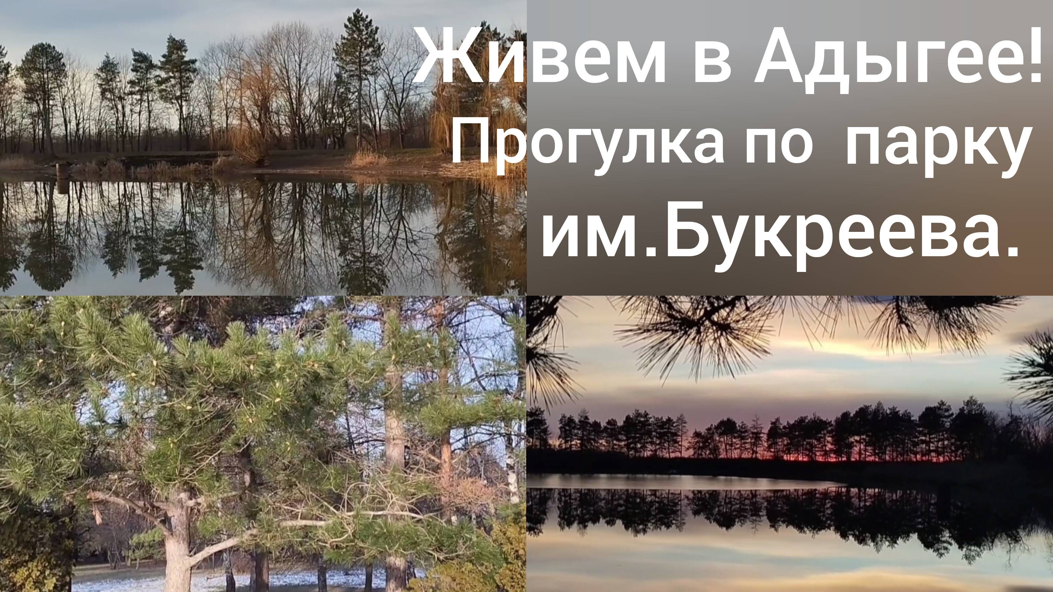 Красивые места в Адыгеи/Парк имени Букреева П. В. в январе/Переехали из Омска в станицу/