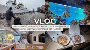 VLOG // МУЗЕЙ МИРОВОГО ОКЕАНА // ДЕТСКАЯ ИГРОВАЯ В КАЛИНИНГРАДЕ //  СКРЕПКА В СИННАБОНЕ