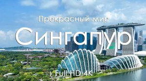 Сингапур Футуризм урбанизм и уникальная природа для чила под фортепиано Full HD Ultra HD 4K