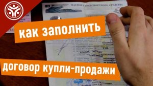 Как Правильно Заполнить Договор Купли Продажи Автомобиля. Договор купли продажи авто бланк 2025