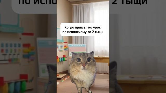 Когда хотел учить испанский бесплатно, но пришлось заплатить 😅 #испанскийснуля #урокиспанского