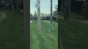 WOW 🤩 CUTE COYOTE SEEN TODAY WHILE DRIVING HERES WHAT HAPPENED…. Wait for it…