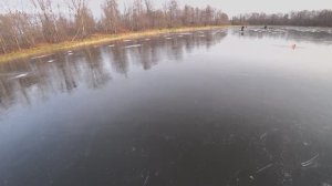 Ротан на живца