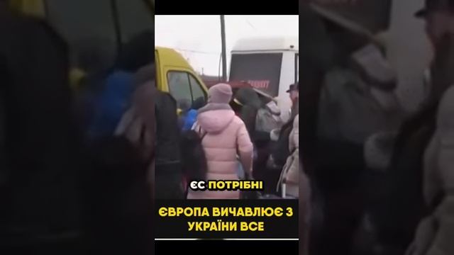 Это ЗЕнаркоман по указке гейропы сделал с населением Украины