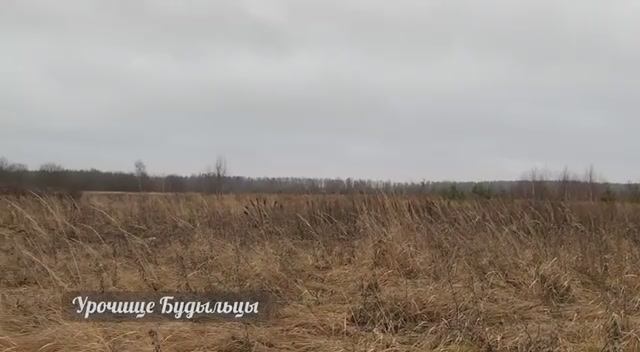 Деревня Будыльцы