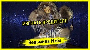 ИЗГНАТЬ ВРЕДИТЕЛЯ. ДЛЯ ВСЕХ. #ВЕДЬМИНАИЗБА ▶️ #МАГИЯ