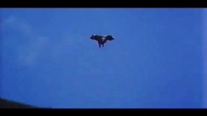 Julia Lima - Fly Away