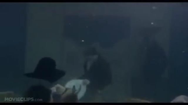 FunnyTimeNowVideo009