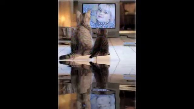 Татьяна Чубарова   Хочу к тебе