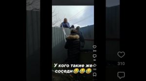 Вот так соседи попались. Злые как собаки.