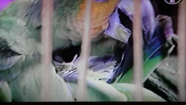 Невзоров.Другой.Был... смотреть онлайн