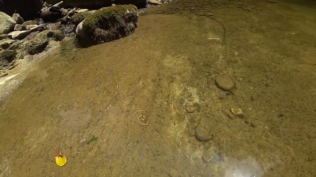 СОЧИ. Прогулка по Агурскому ущелью. Через Агурские водопады. смотреть онлайн