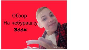 Обзор на чебурашку book